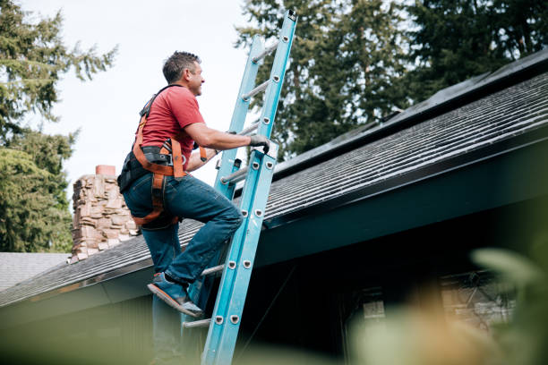 Best Roof Leak Repair  in Shenandoah, IA